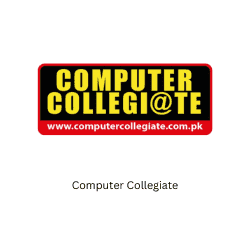 Computer Collegiate BeeHive Consultants Pvt Ltd Education for all SDGs Sustainable Development Goals
